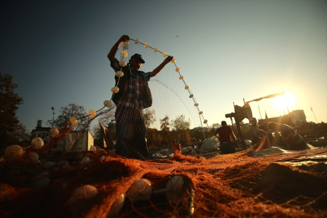 Batı Karadeniz'de balık bereketi